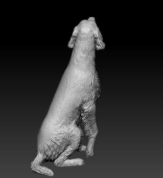 Irish red setter 3D print model_11