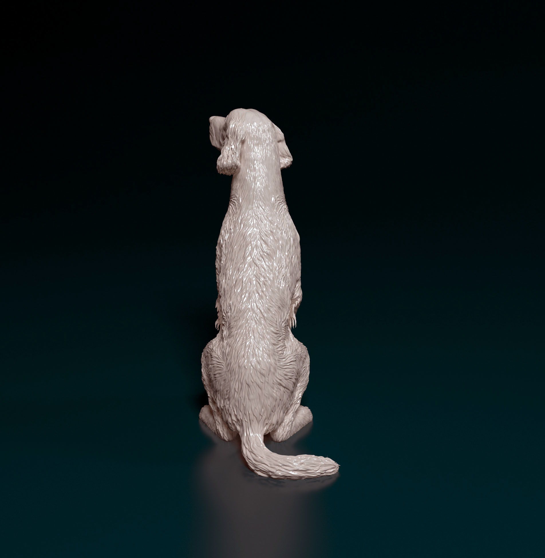 Irish red setter 3D print model_4