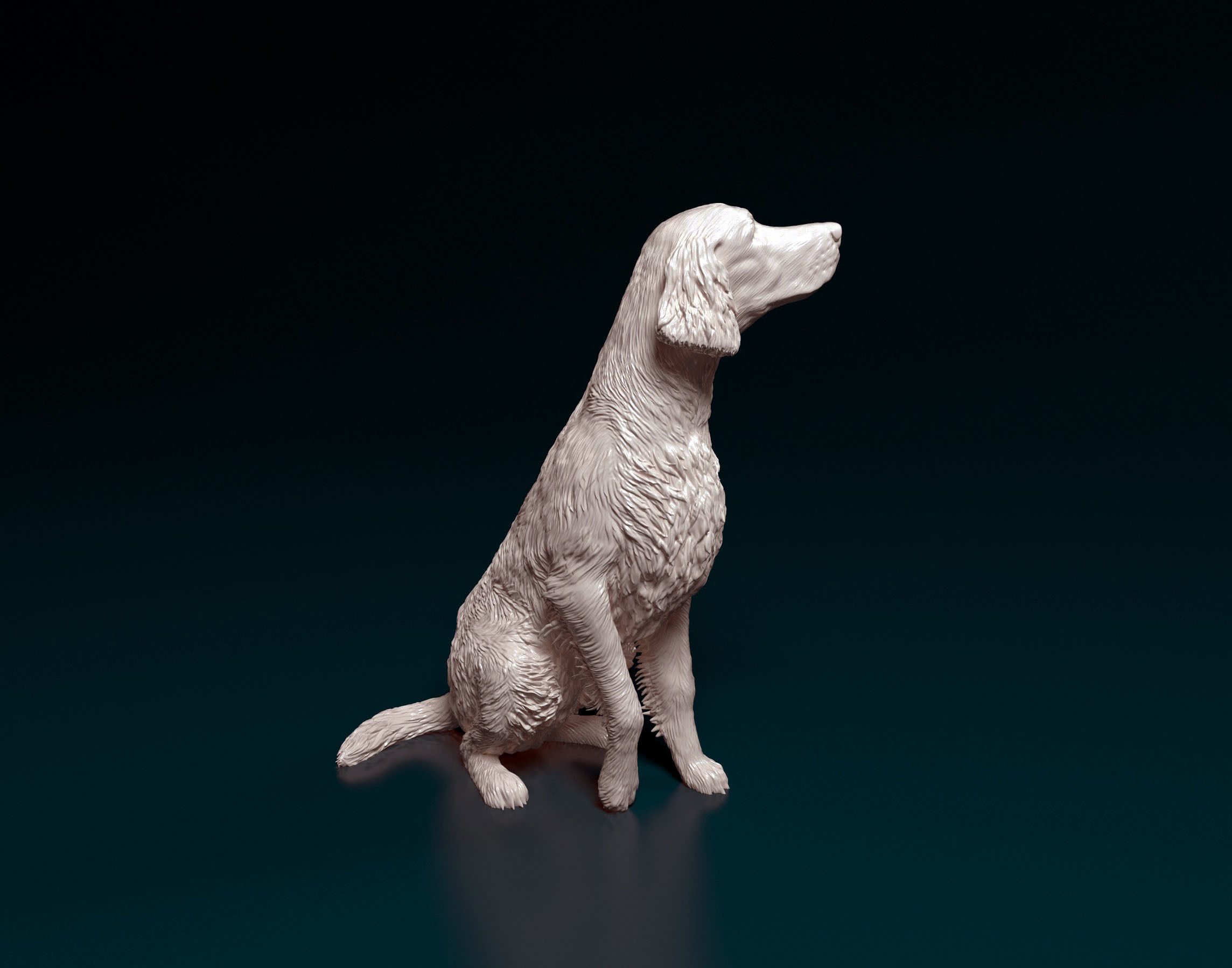 Irish red setter 3D print model_1