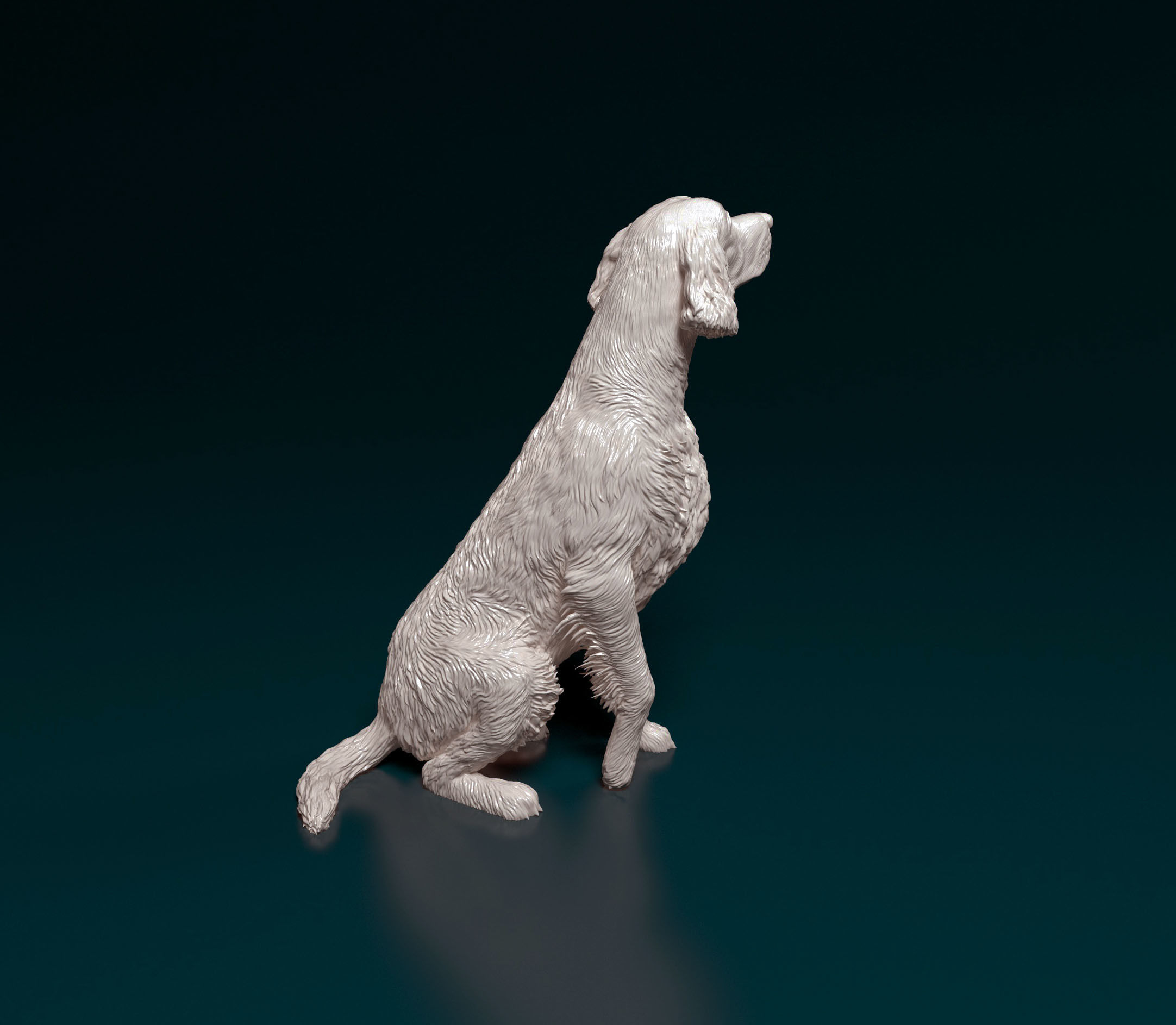 Irish red setter 3D print model_2