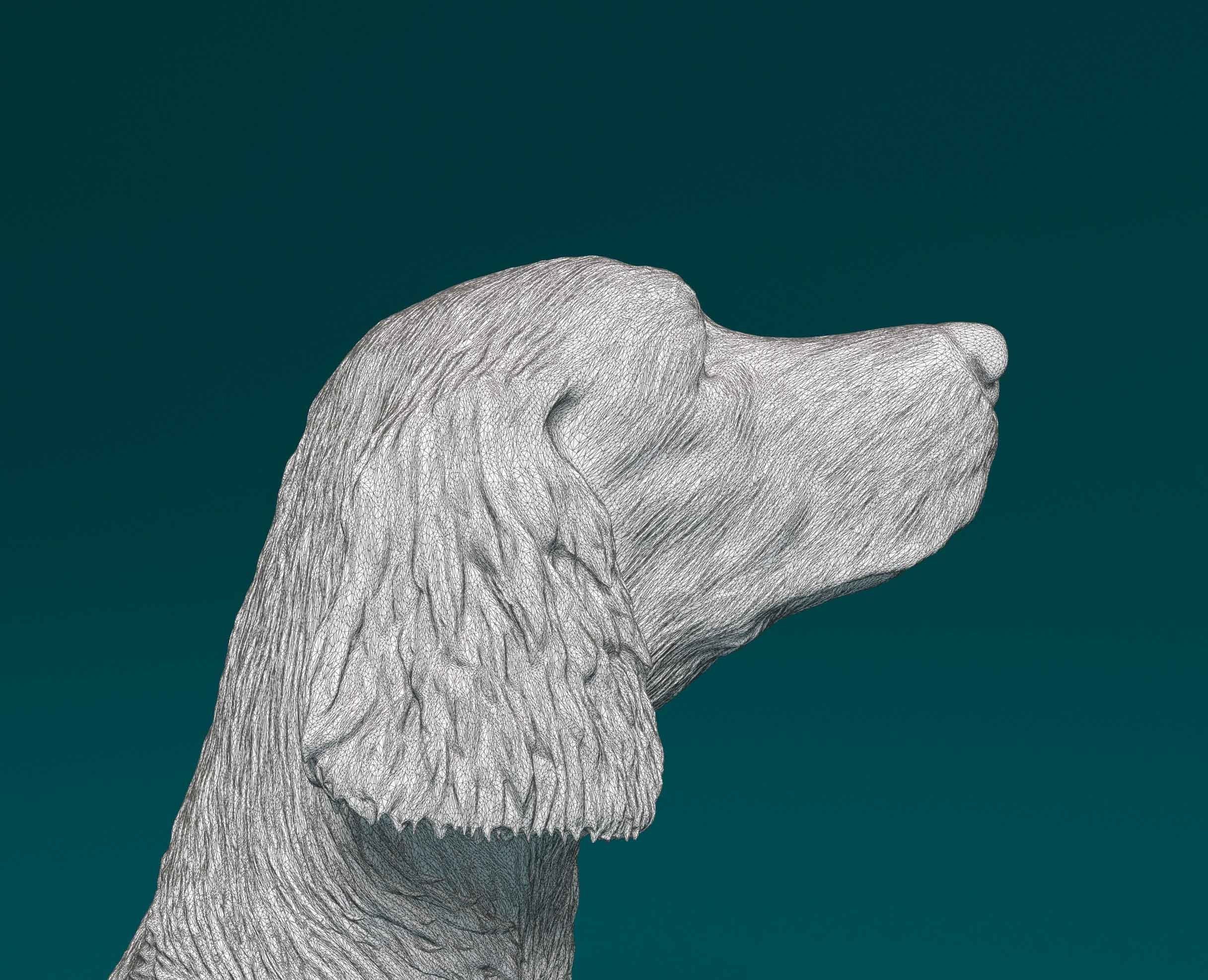 Irish red setter 3D print model_10