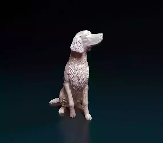 Irish red setter 3D print model