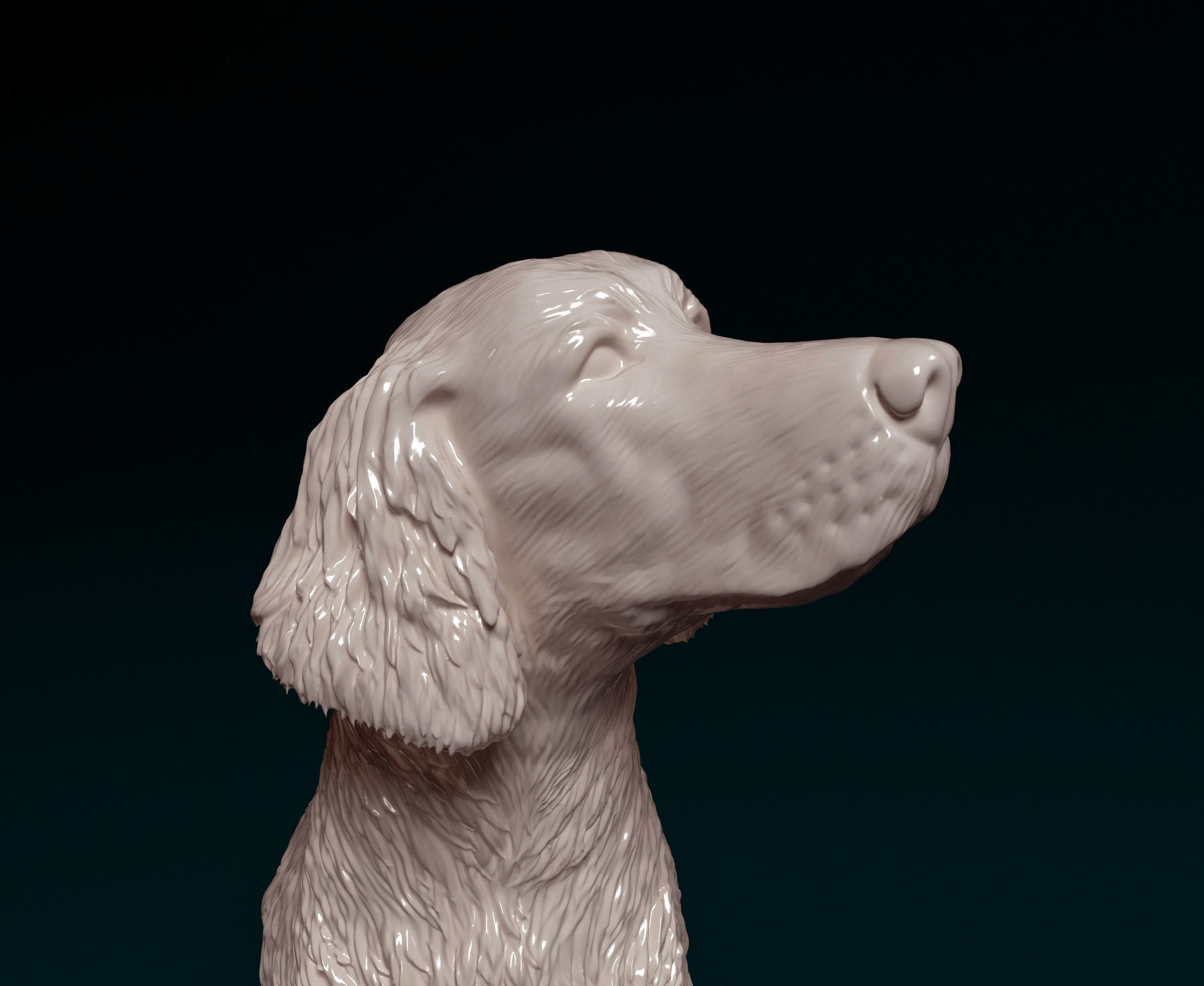 Irish red setter 3D print model_5