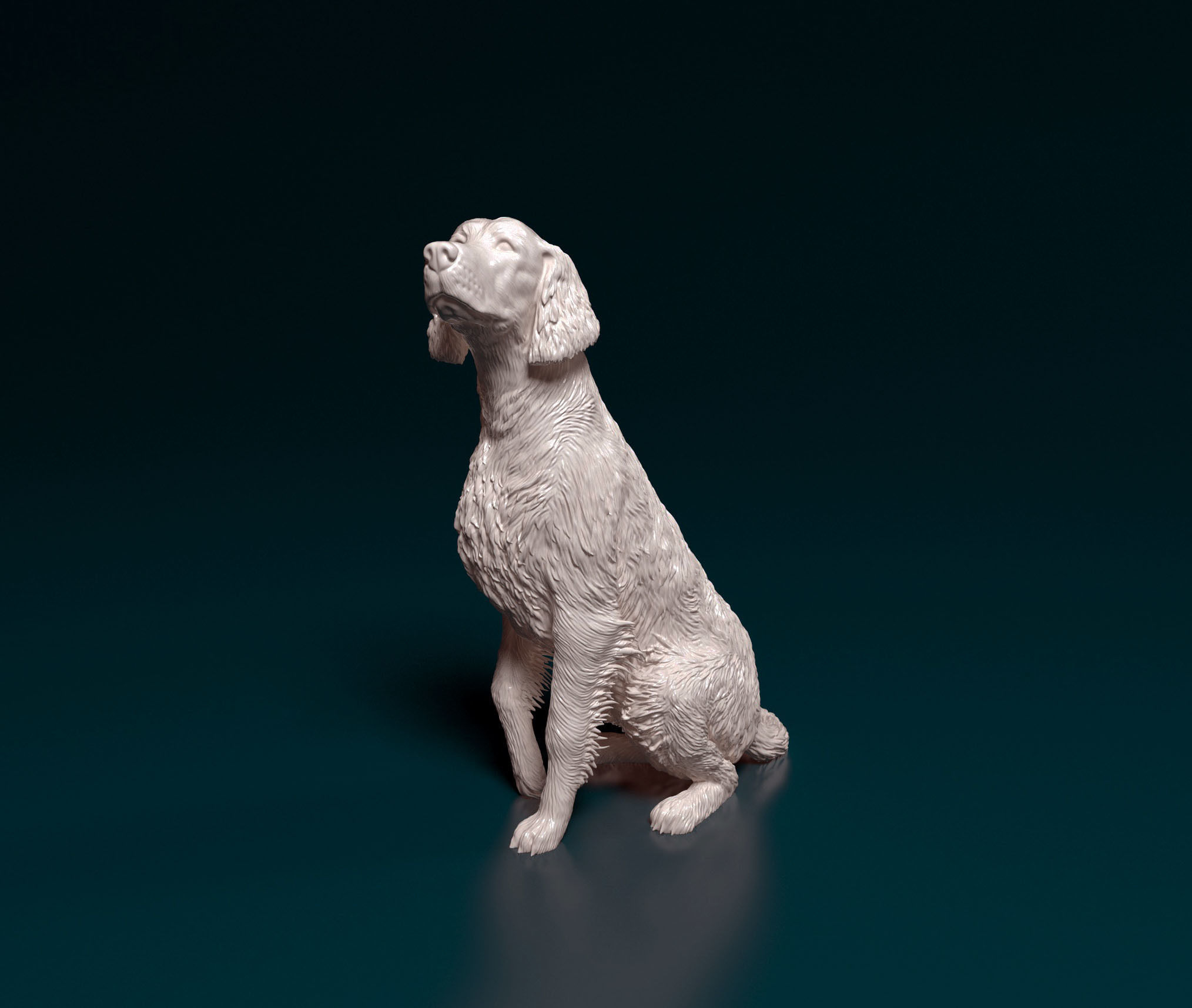 Irish red setter 3D print model_8