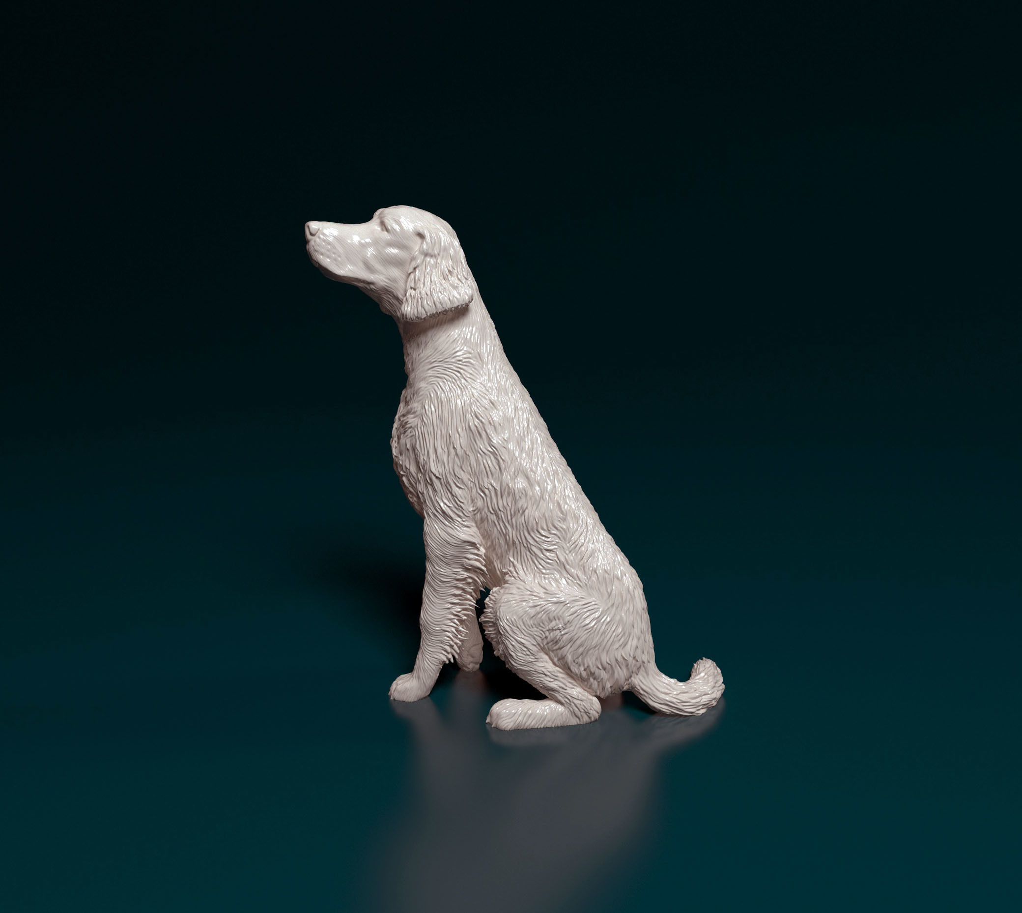 Irish red setter 3D print model_7