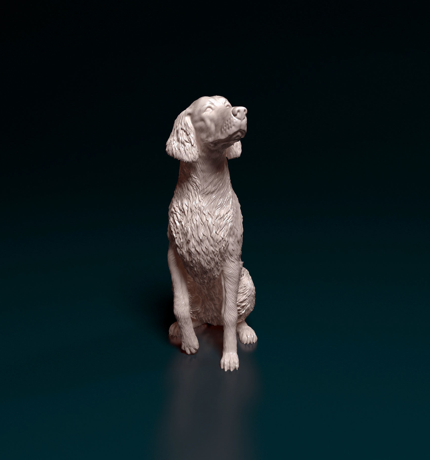Irish red setter 3D print model_9