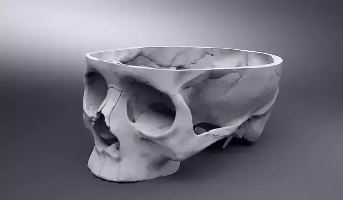Base of the Skull model