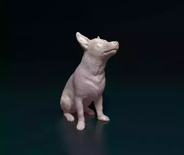 Jack Russell short legged 3D print model