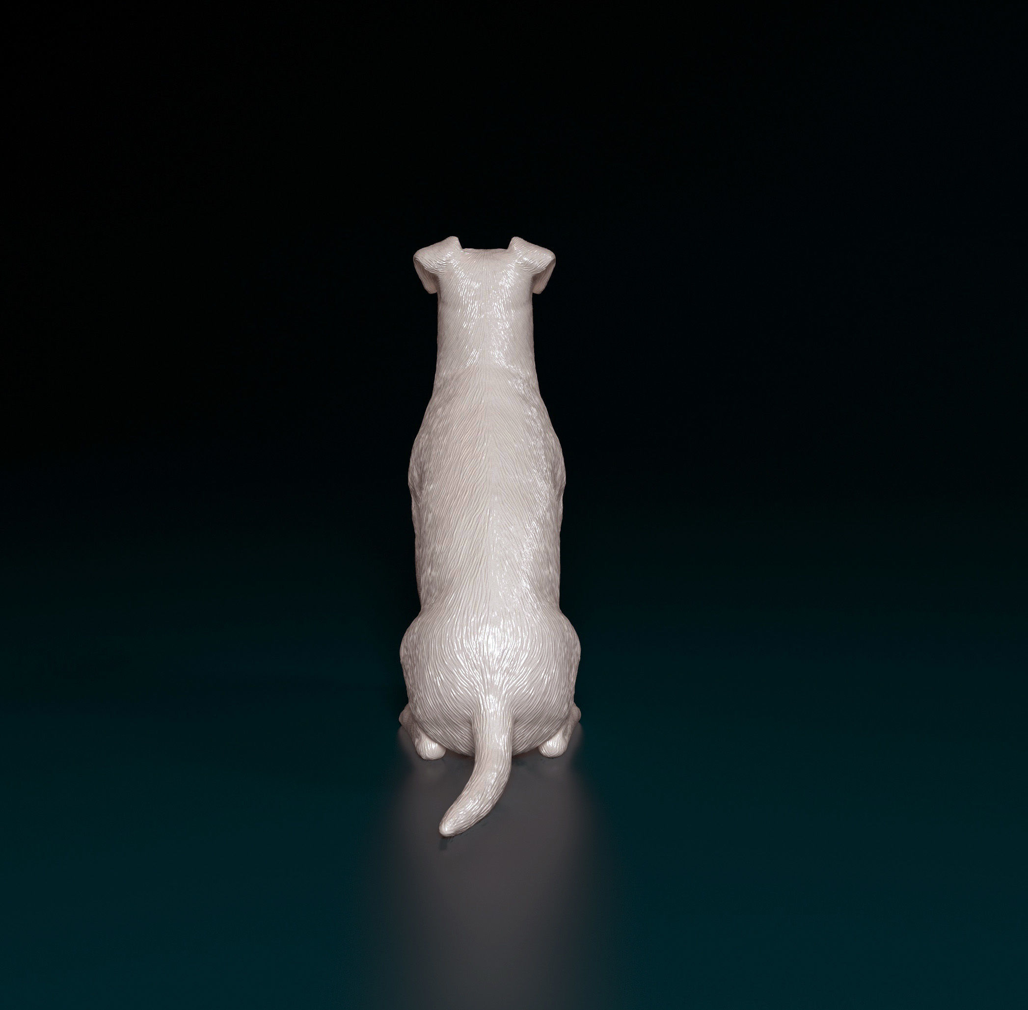 Jack Russell terrier 3D print model_4