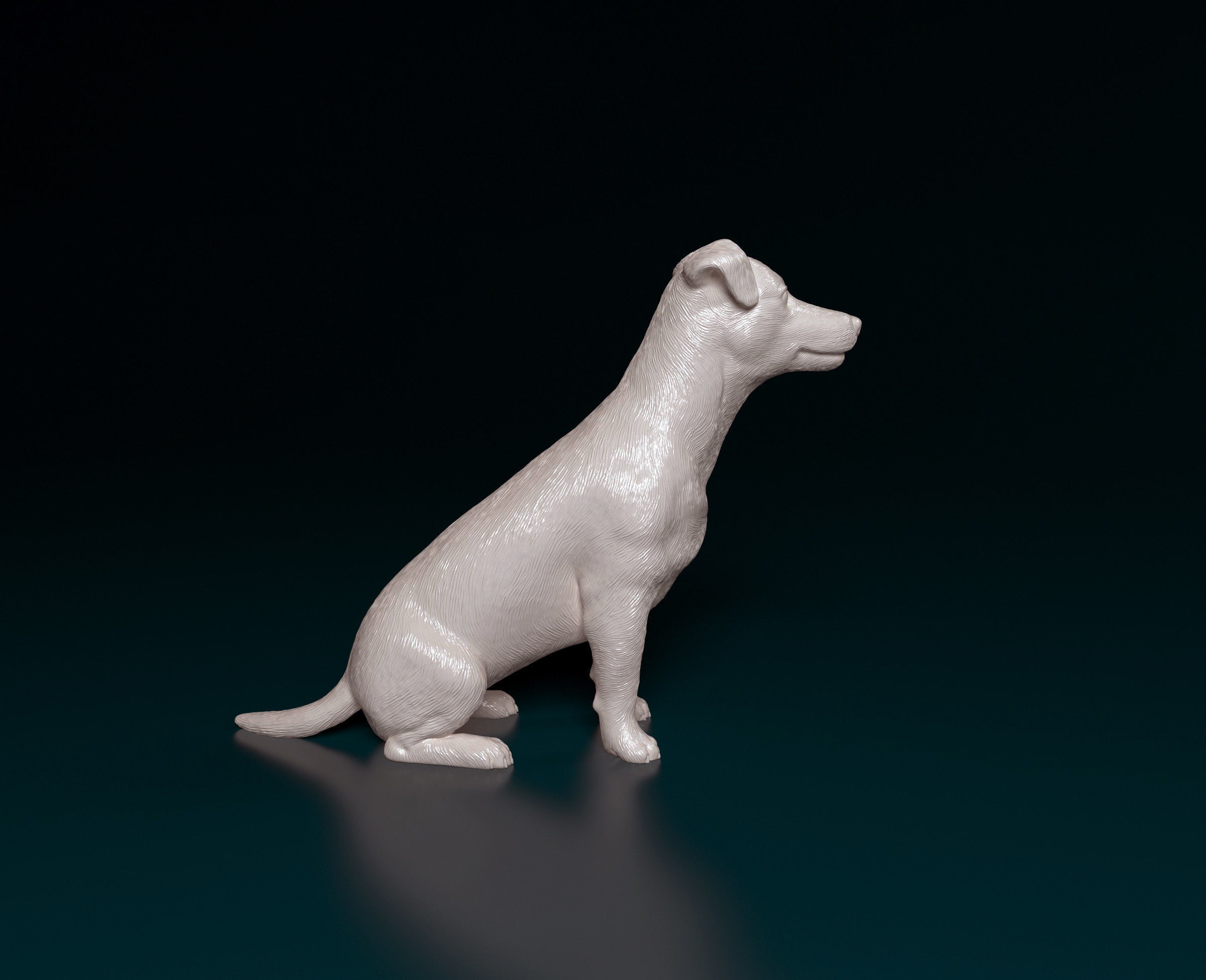 Jack Russell terrier 3D print model_1