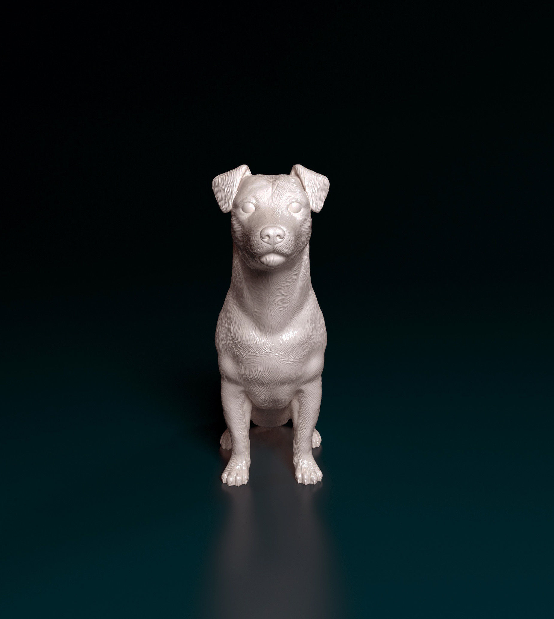 Jack Russell terrier 3D print model_3
