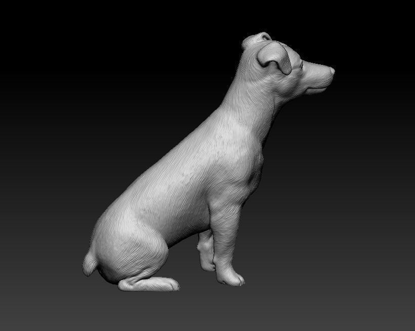 Jack Russell terrier 3D print model_8