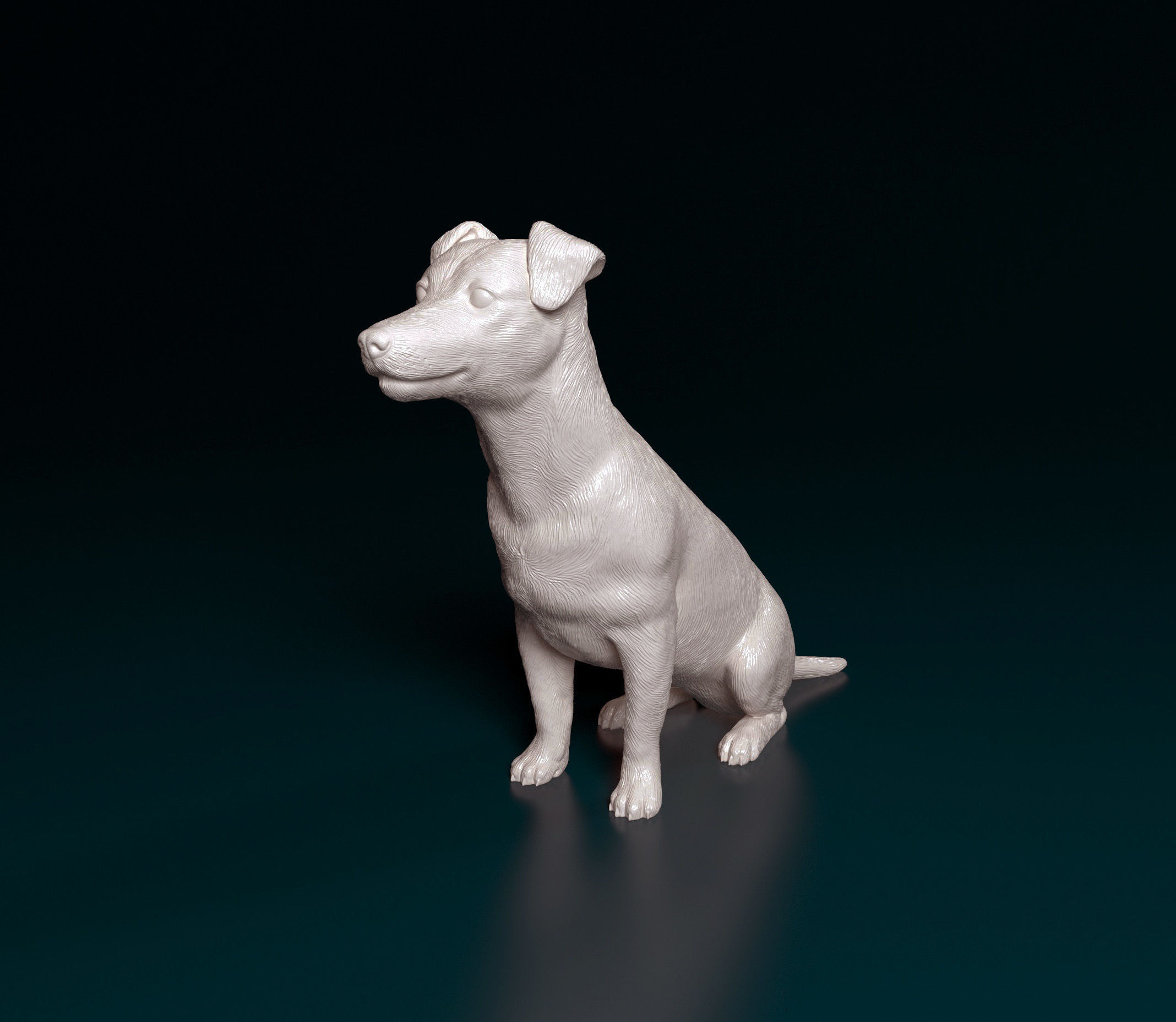 Jack Russell terrier 3D print model_6