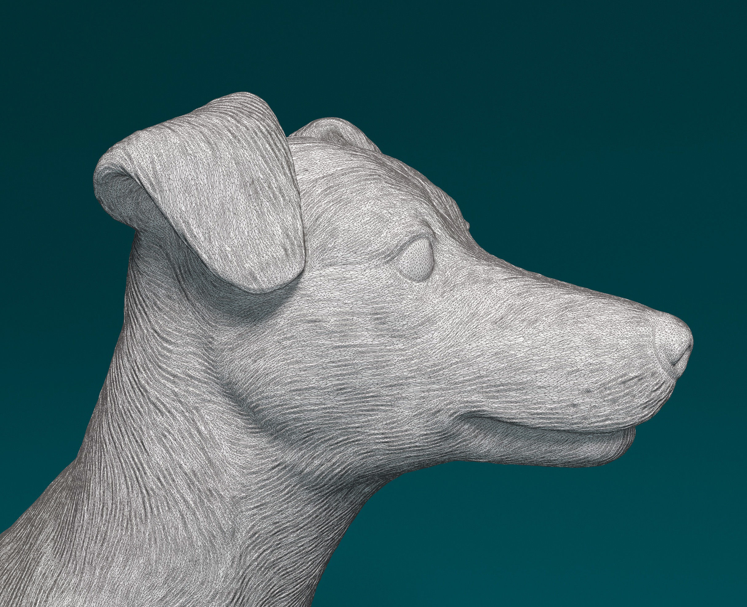 Jack Russell terrier 3D print model_7