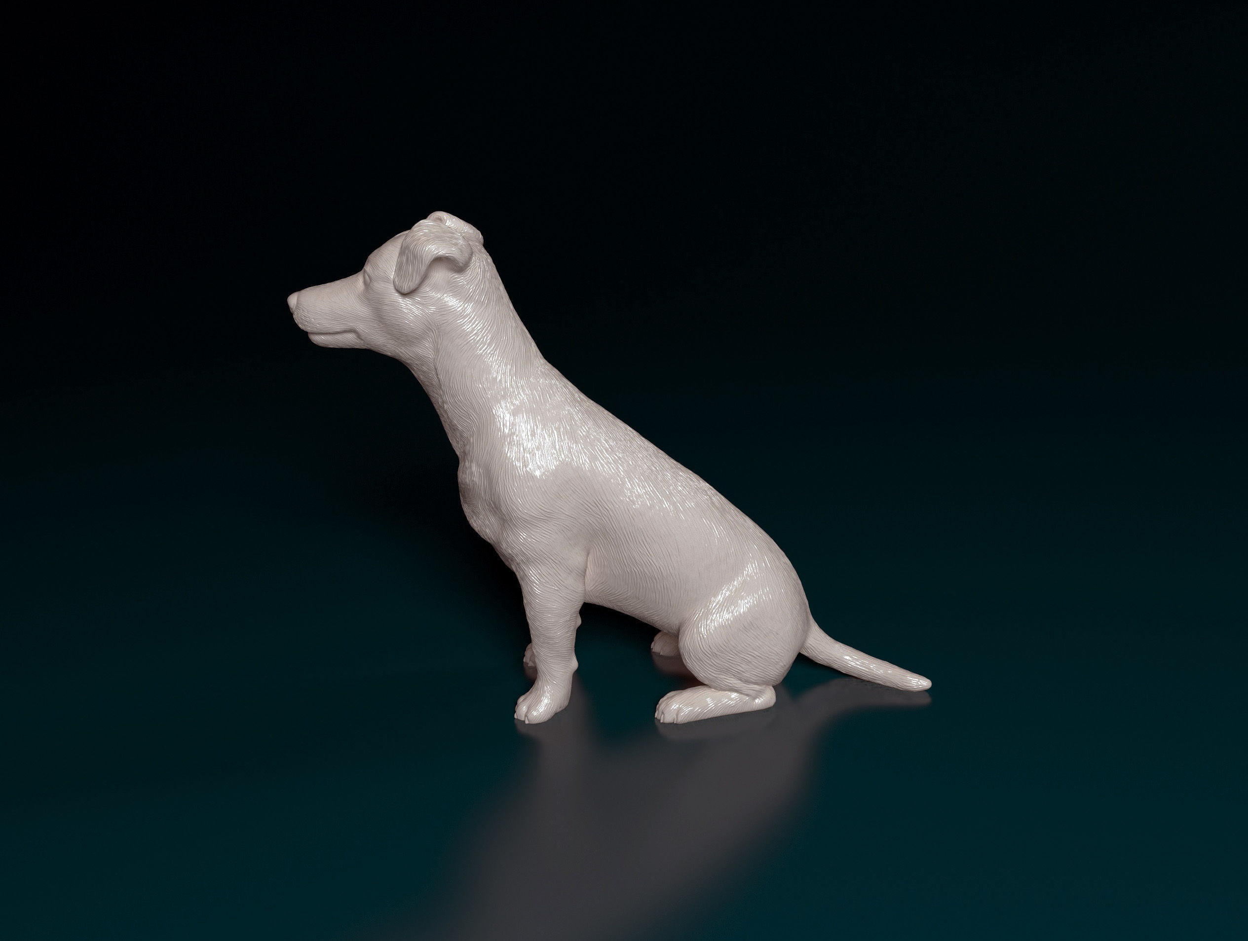 Jack Russell terrier 3D print model_5
