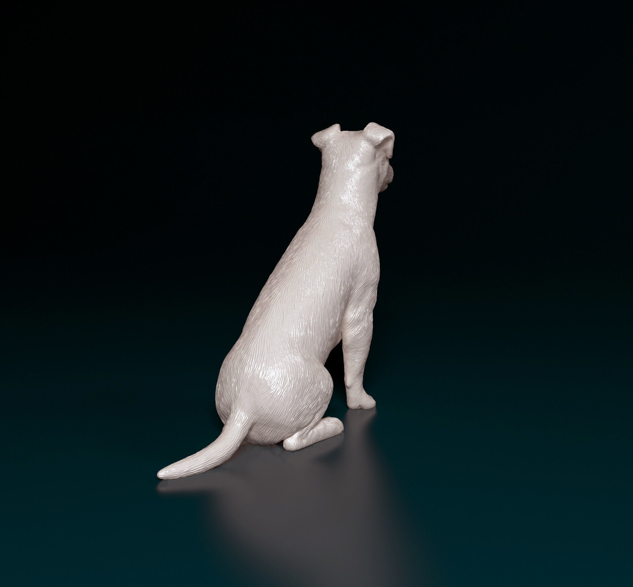 Jack Russell terrier 3D print model_2