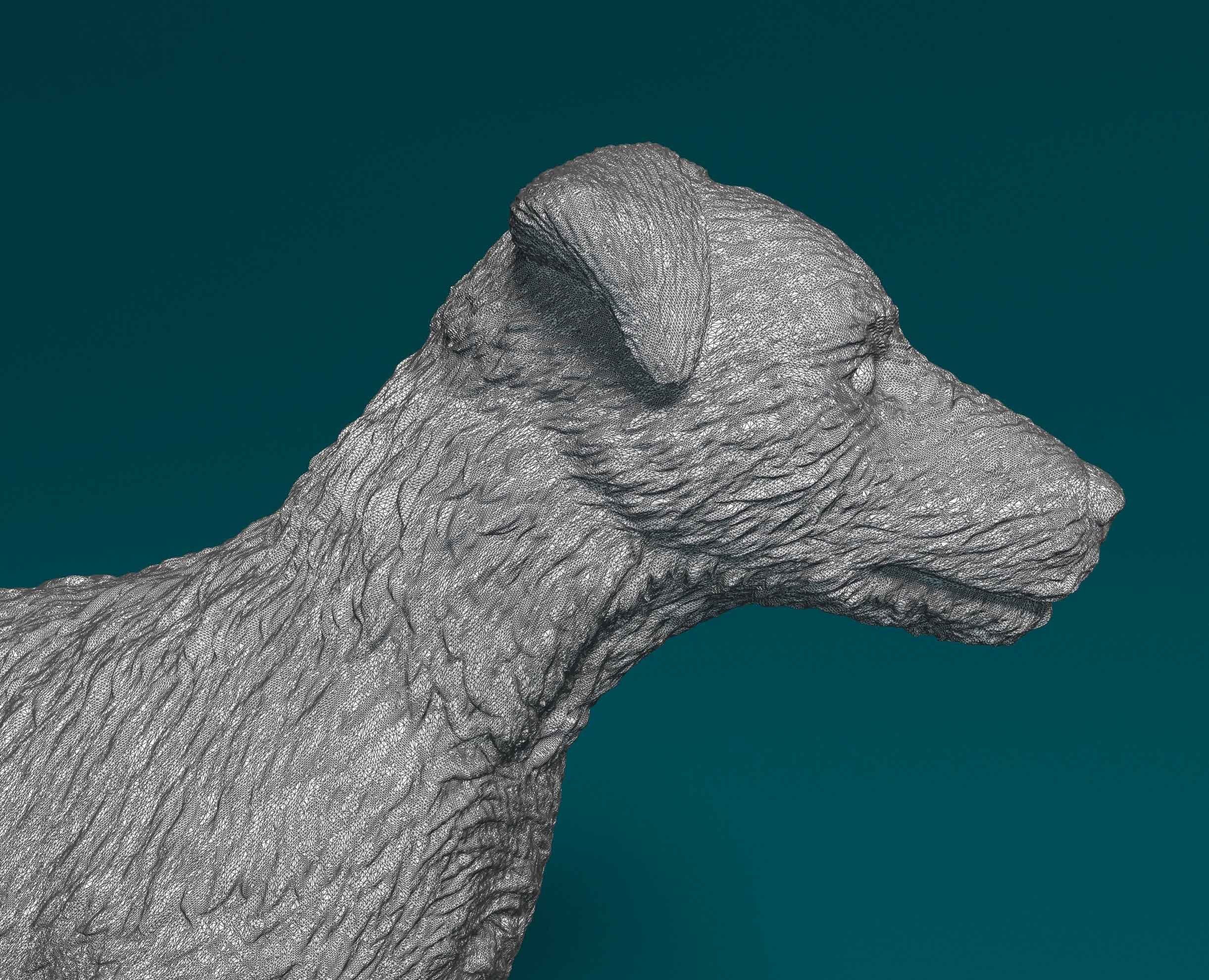 Jagdterrier dog 3D print model_9