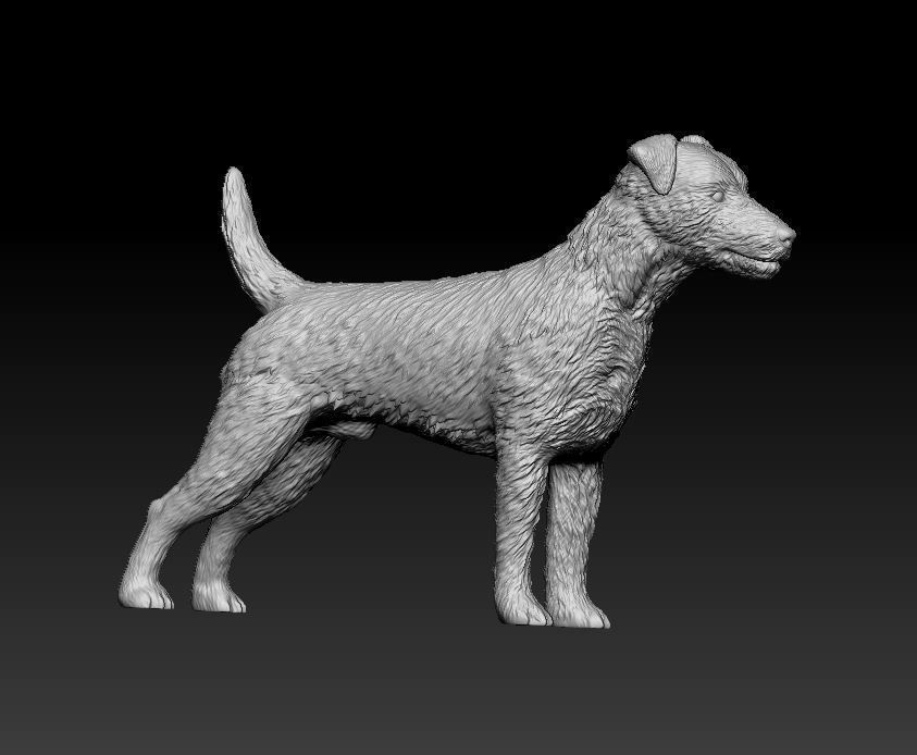 Jagdterrier dog 3D print model_7