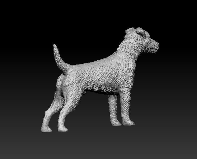 Jagdterrier dog 3D print model_8