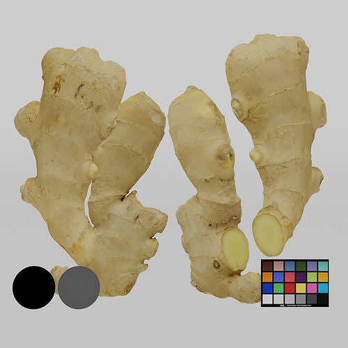 Ginger 3D model 2