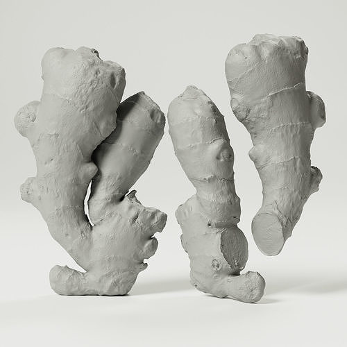 Ginger 3D model 3