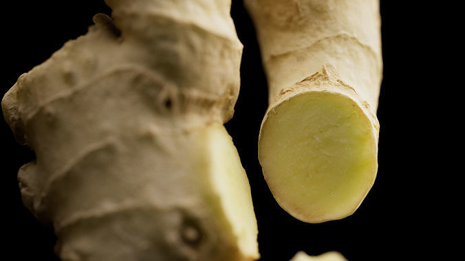 Ginger 3D model 6