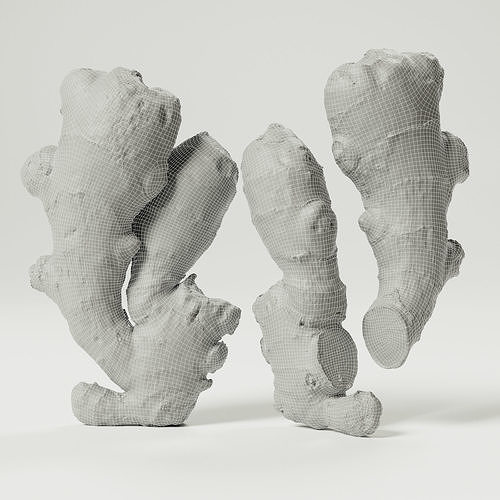 Ginger 3D model 4