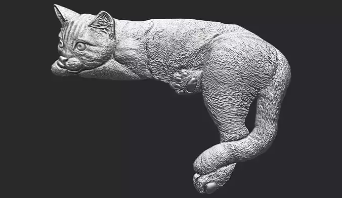 Lazy Cat Bas-Relief 