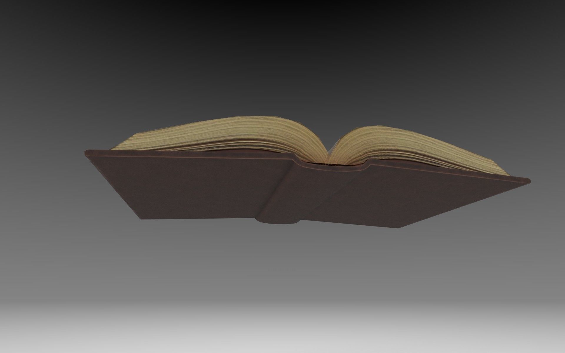 Book open blank Free low-poly 3D model_6