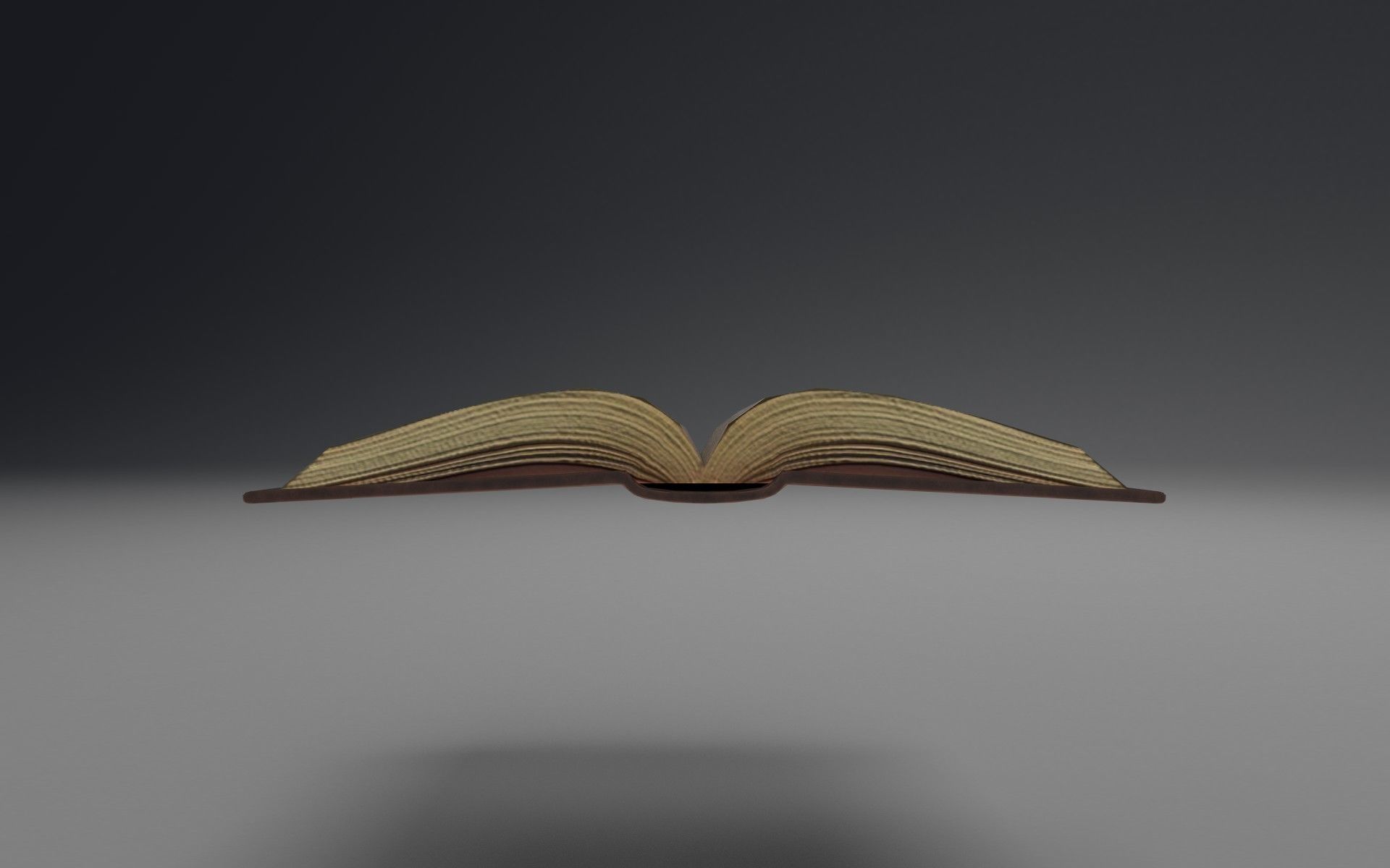 Book open blank Free low-poly 3D model_4