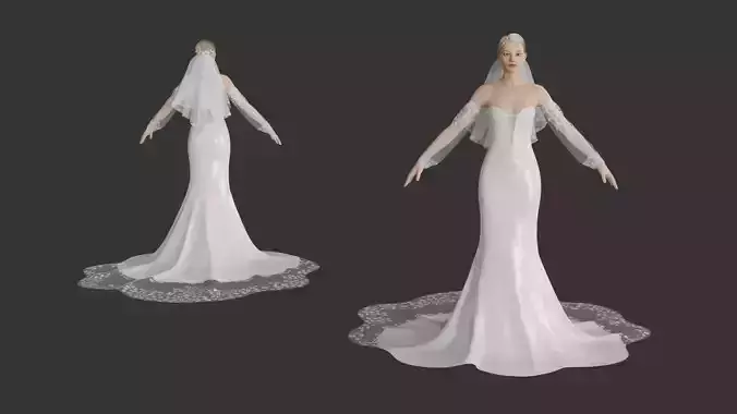 Wedding dress with Veil