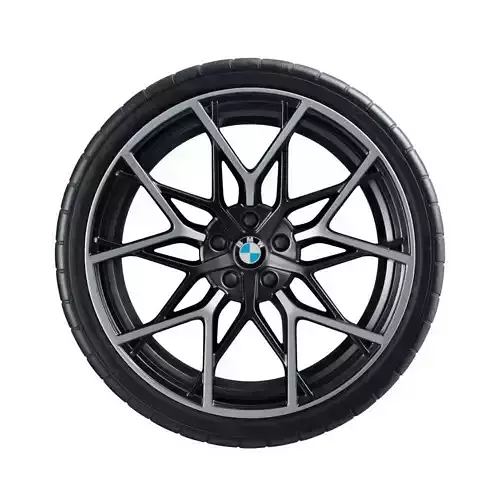 795-M and Pirelli P-Zero P4 Wheels