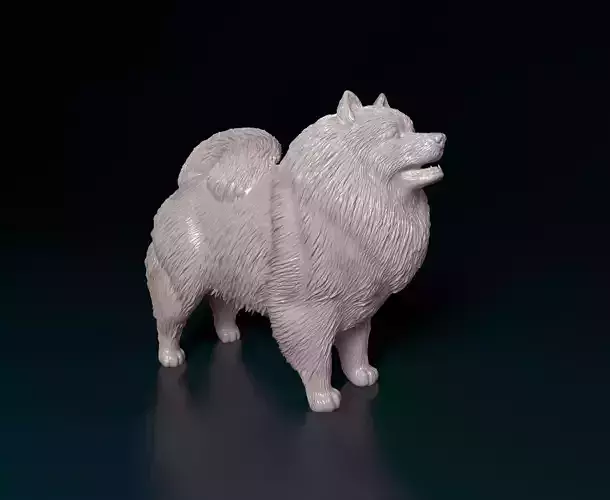 Keeshond dog 3D print model