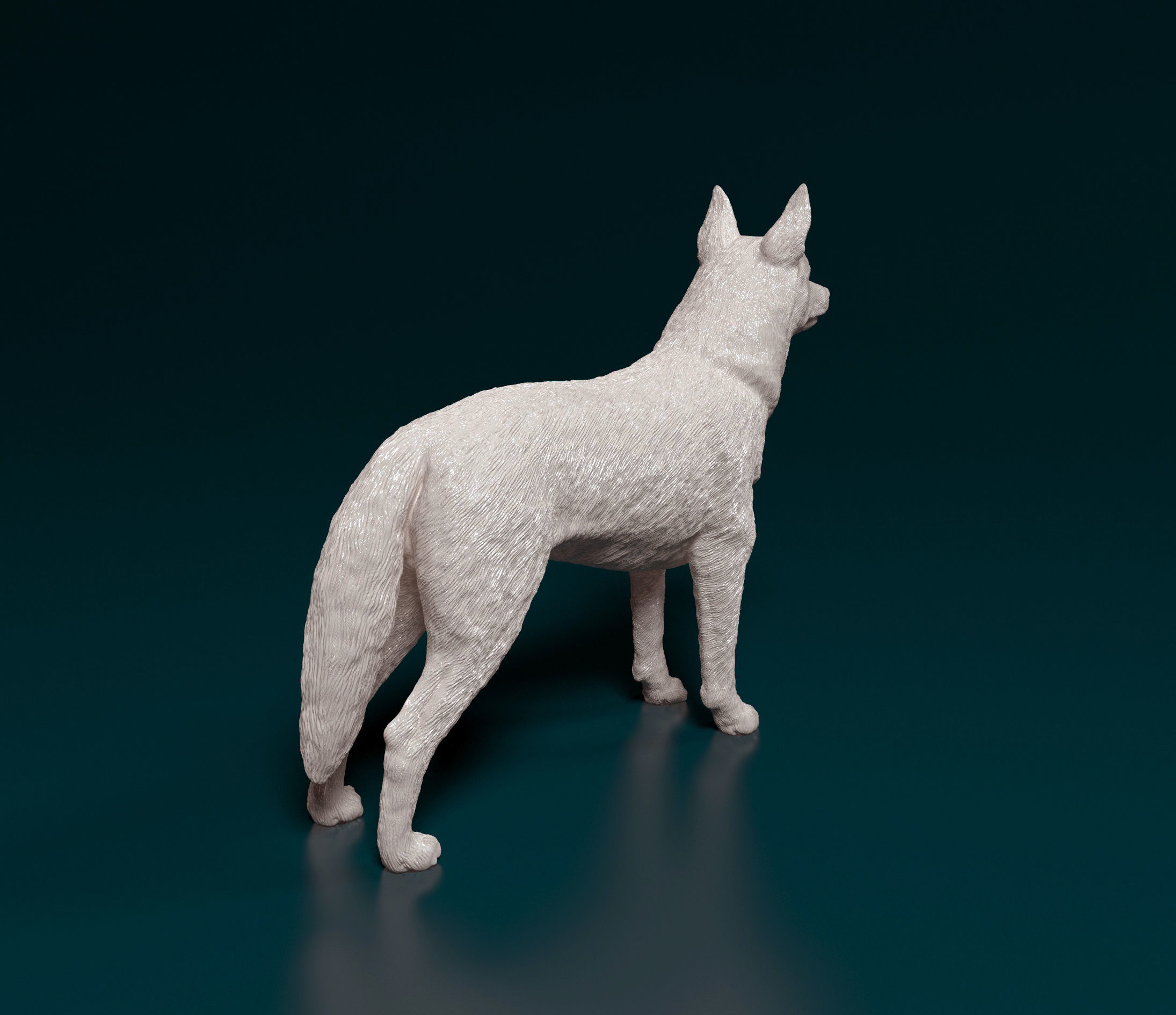 Kelpie australian shepherd 3D print model_2