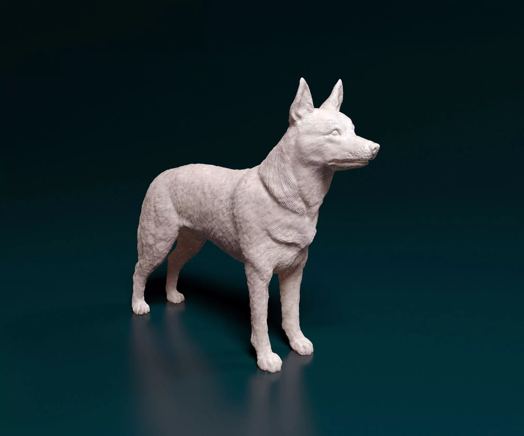 Kelpie australian shepherd 3D print model_0