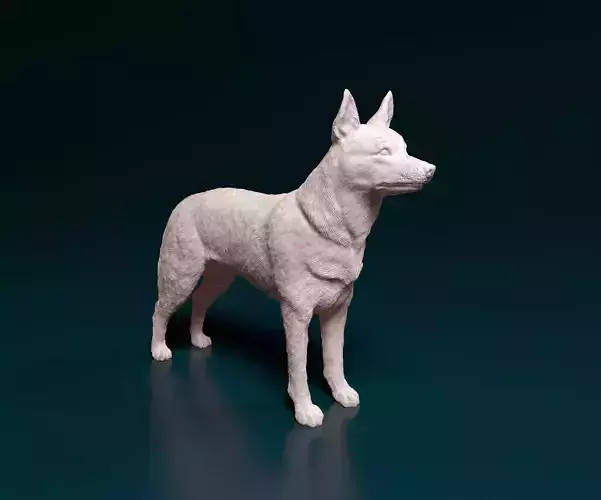 Kelpie australian shepherd 3D print model