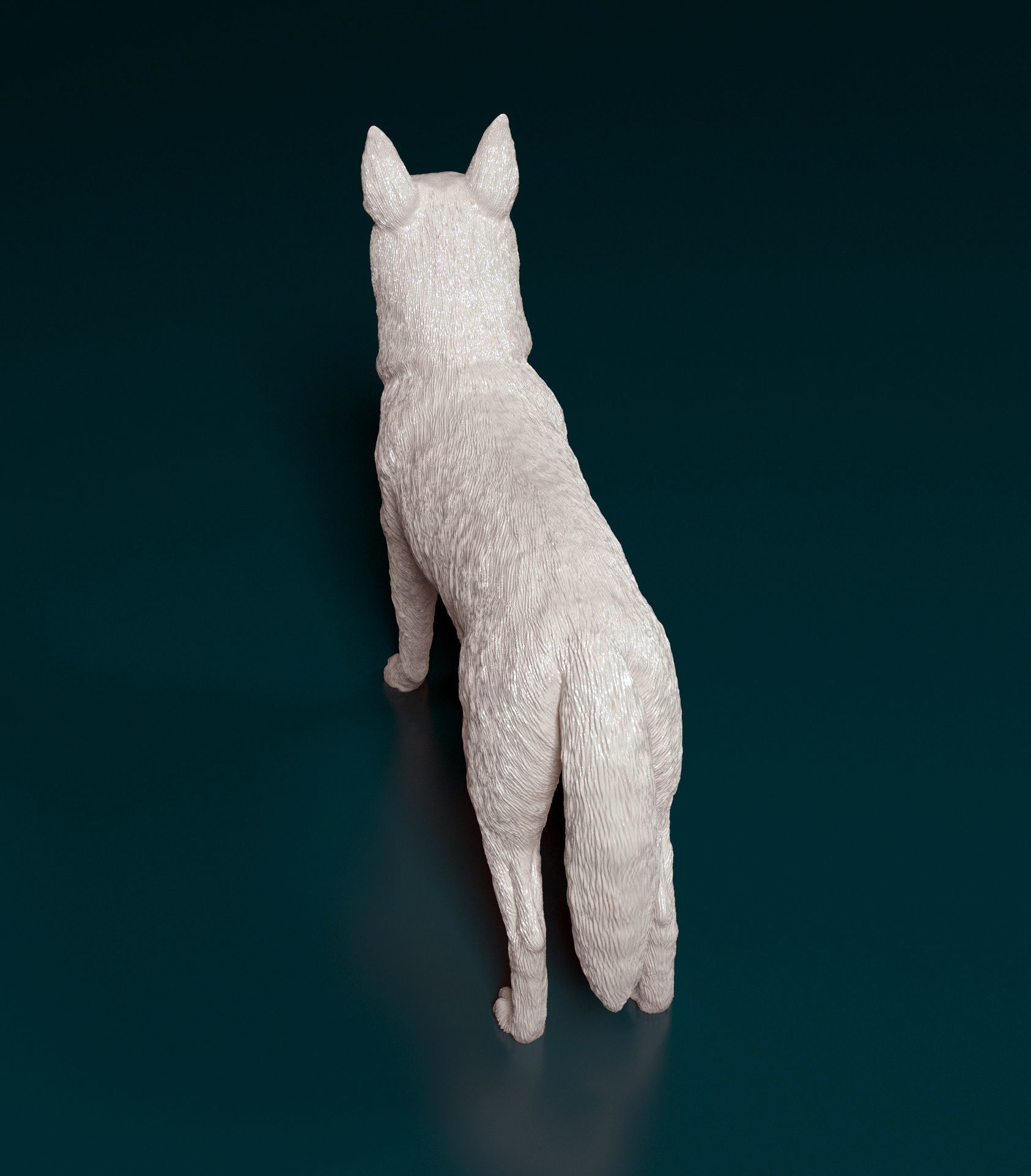 Kelpie australian shepherd 3D print model_3