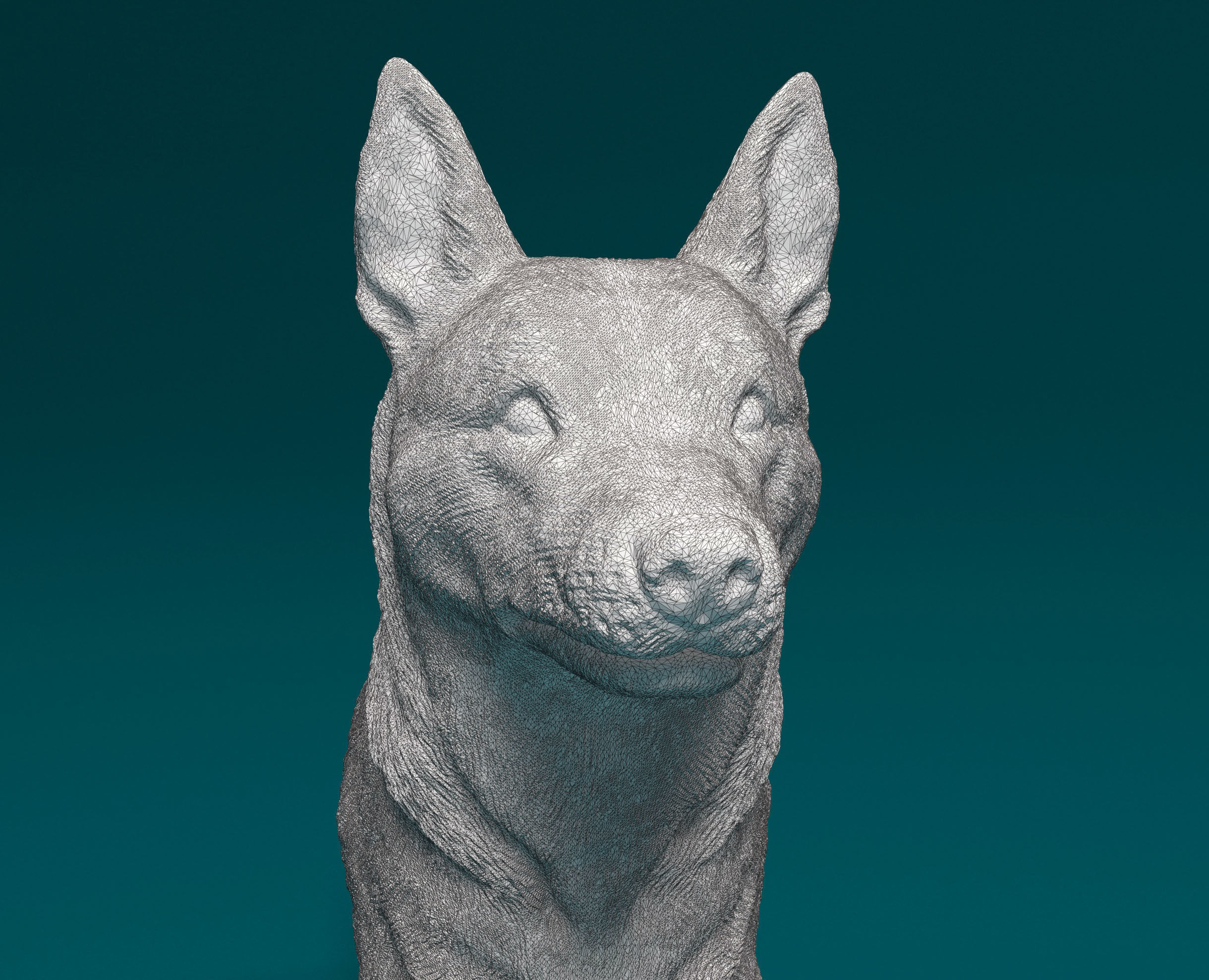 Kelpie australian shepherd 3D print model_7
