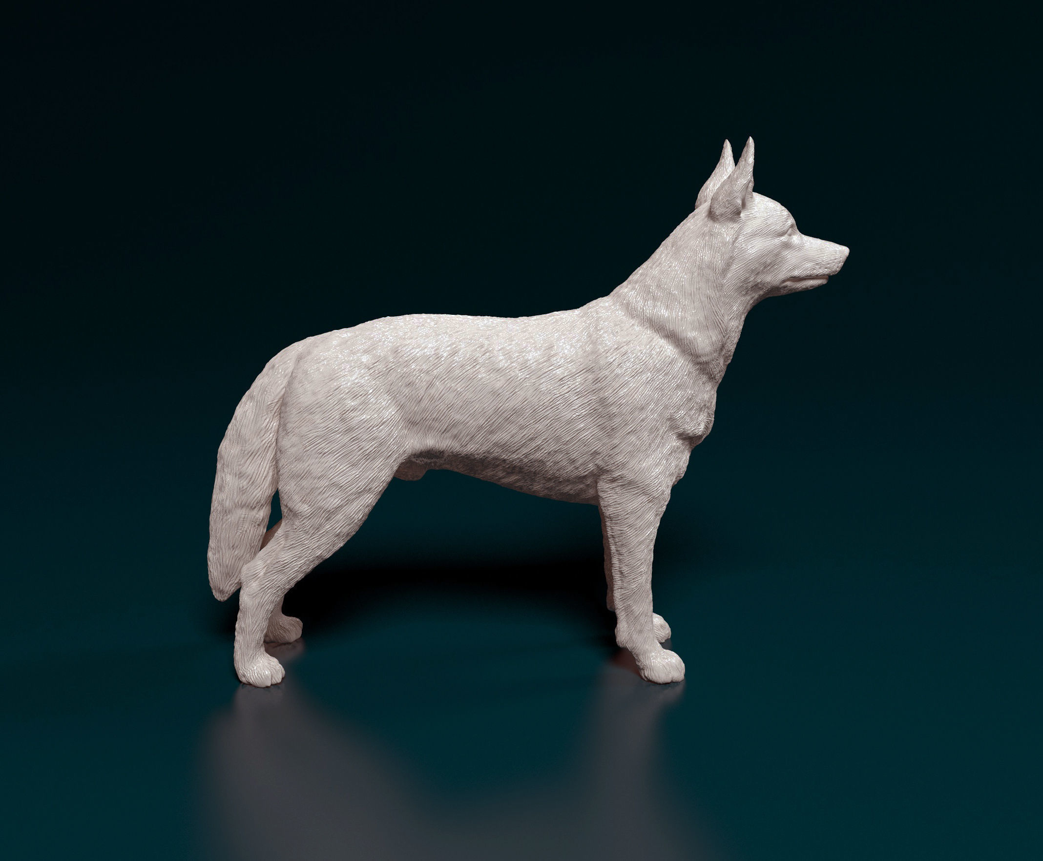 Kelpie australian shepherd 3D print model_1