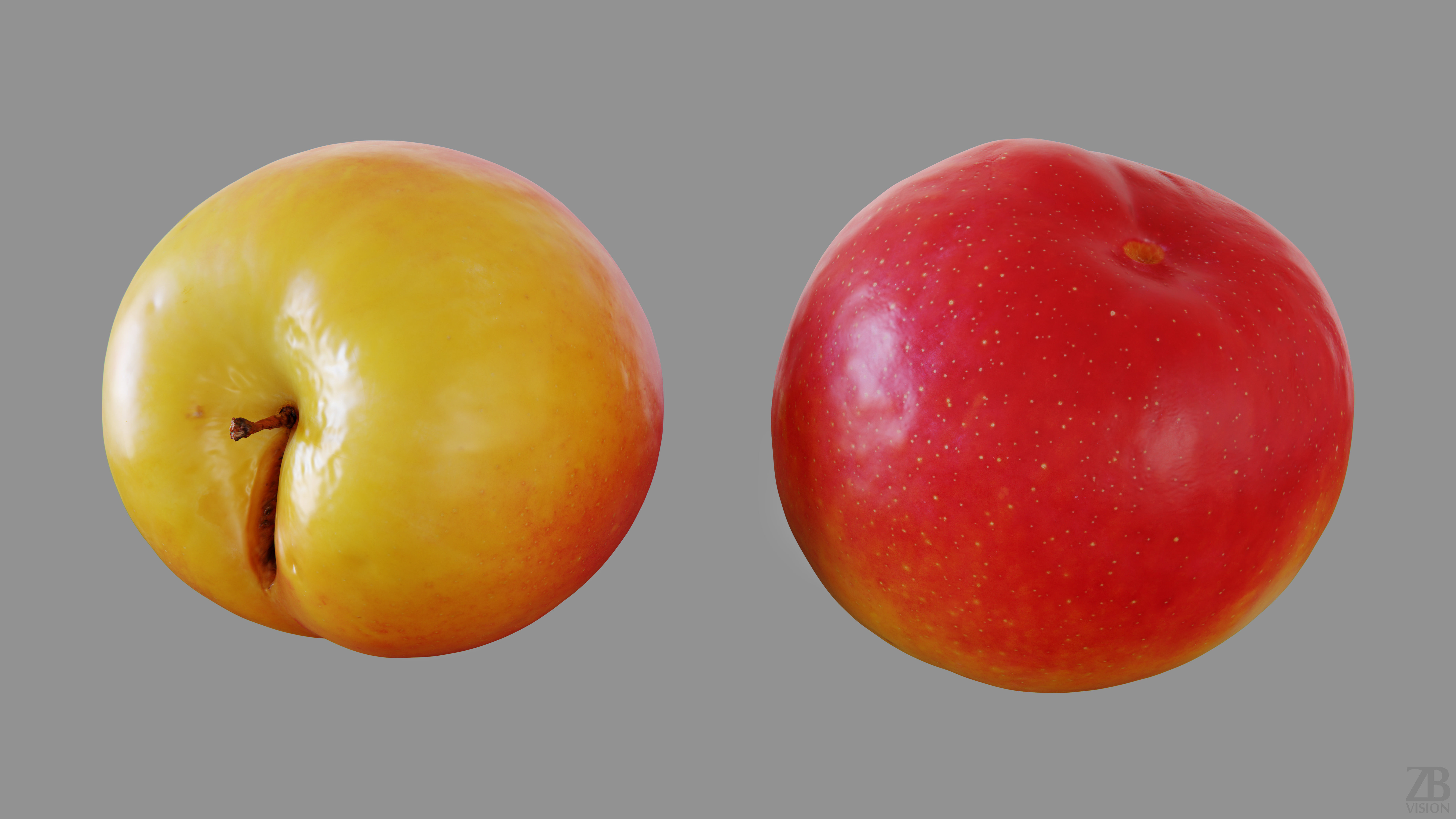Plum  3D model_12