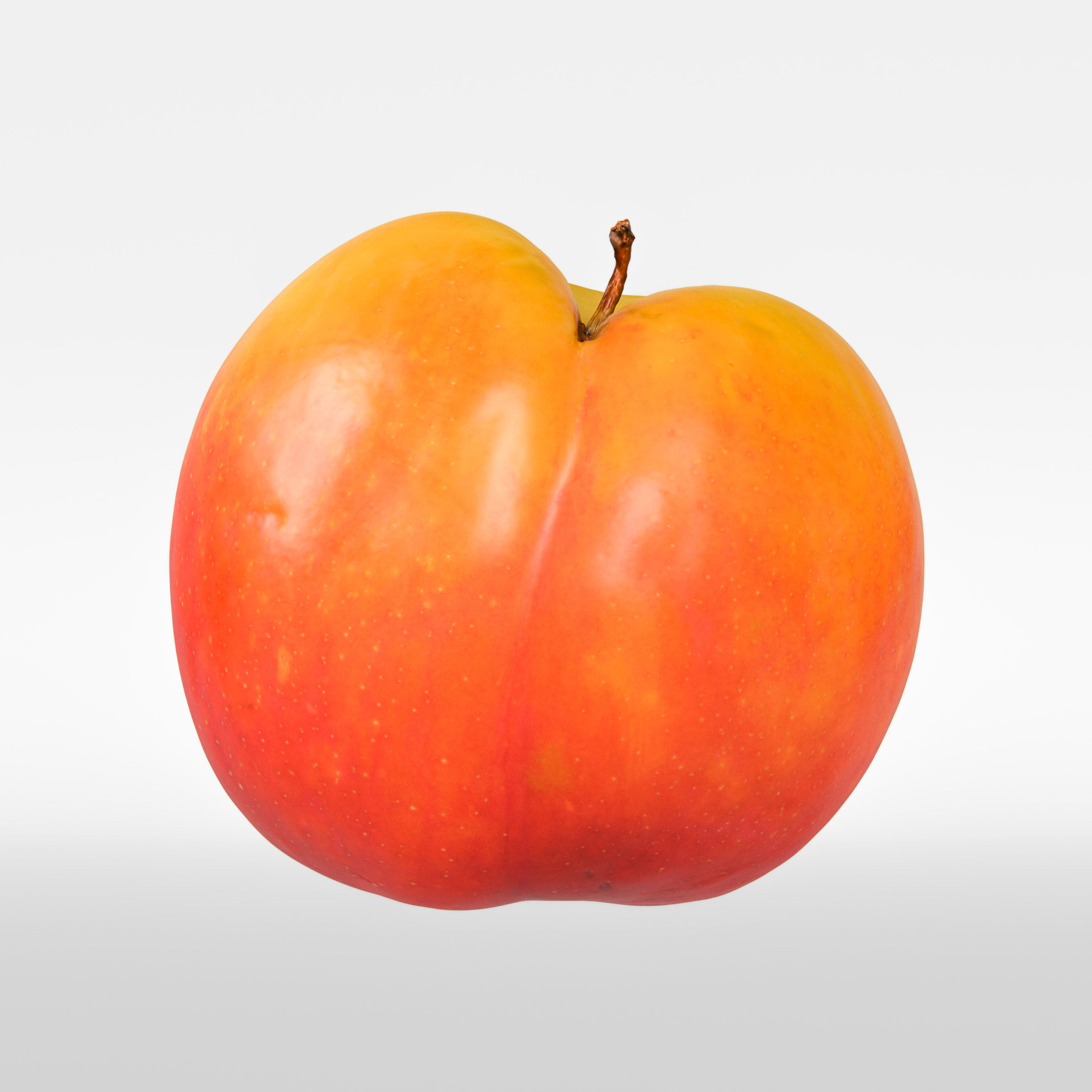 Plum  3D model_5
