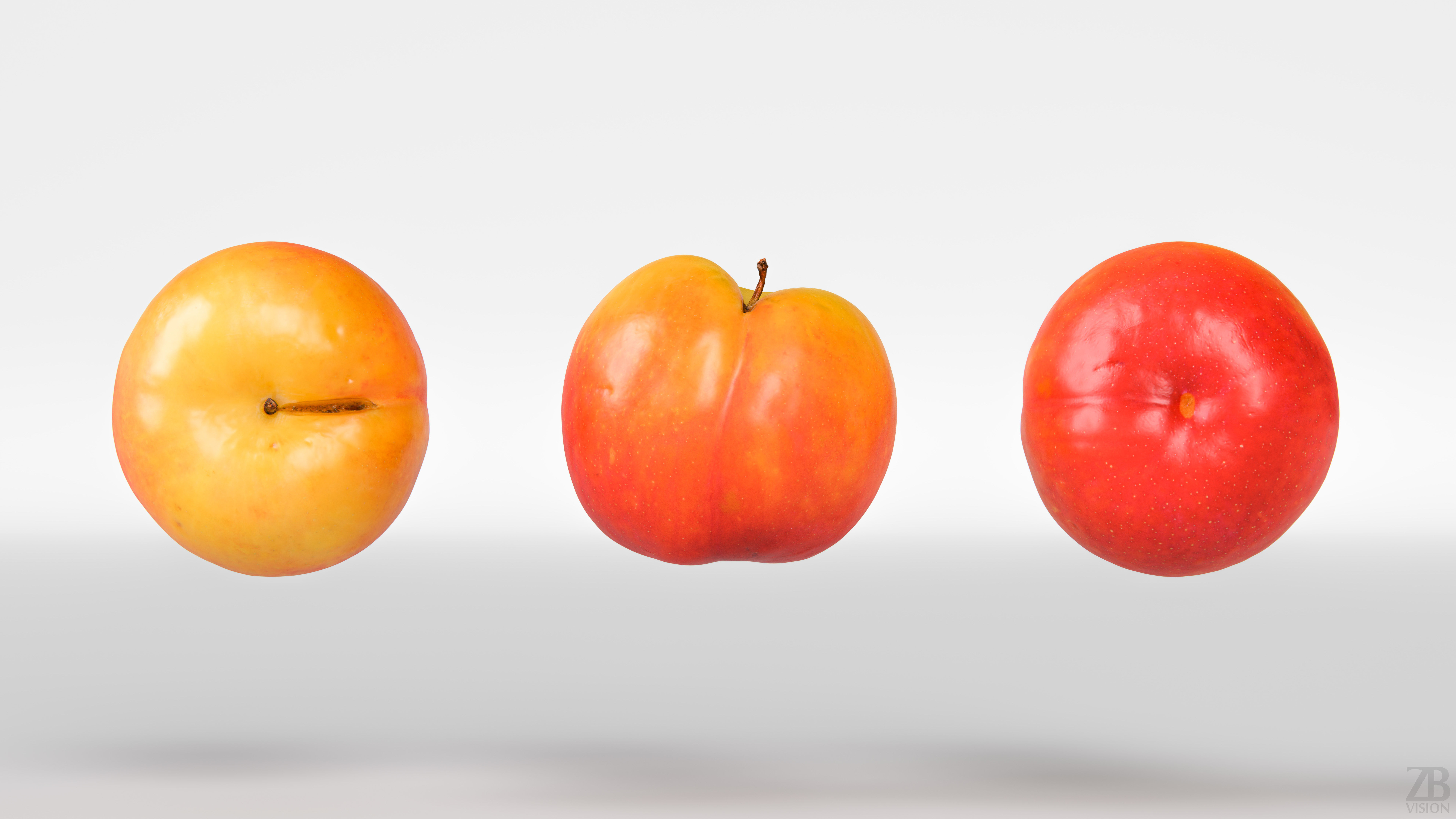 Plum  3D model_4