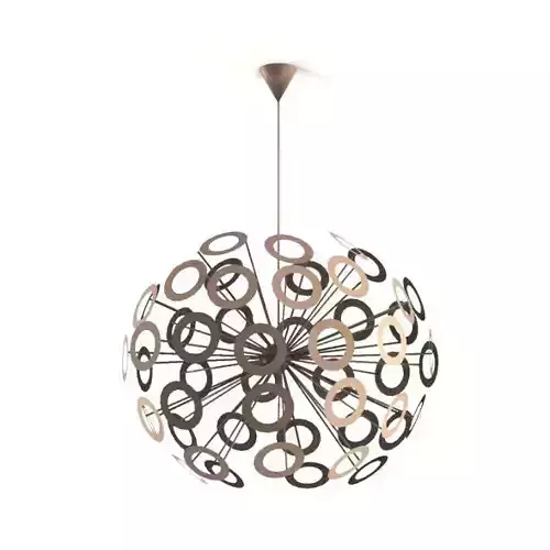 Ceiling Light Fixture