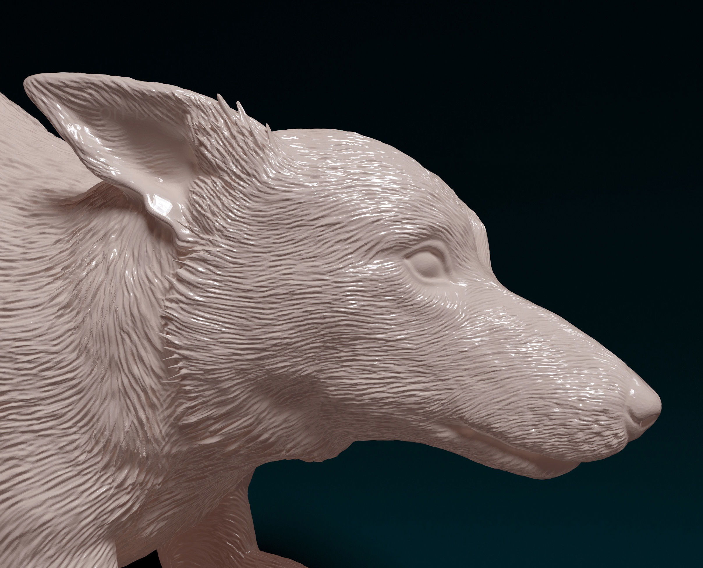 Kelpie dog 3D print model_6