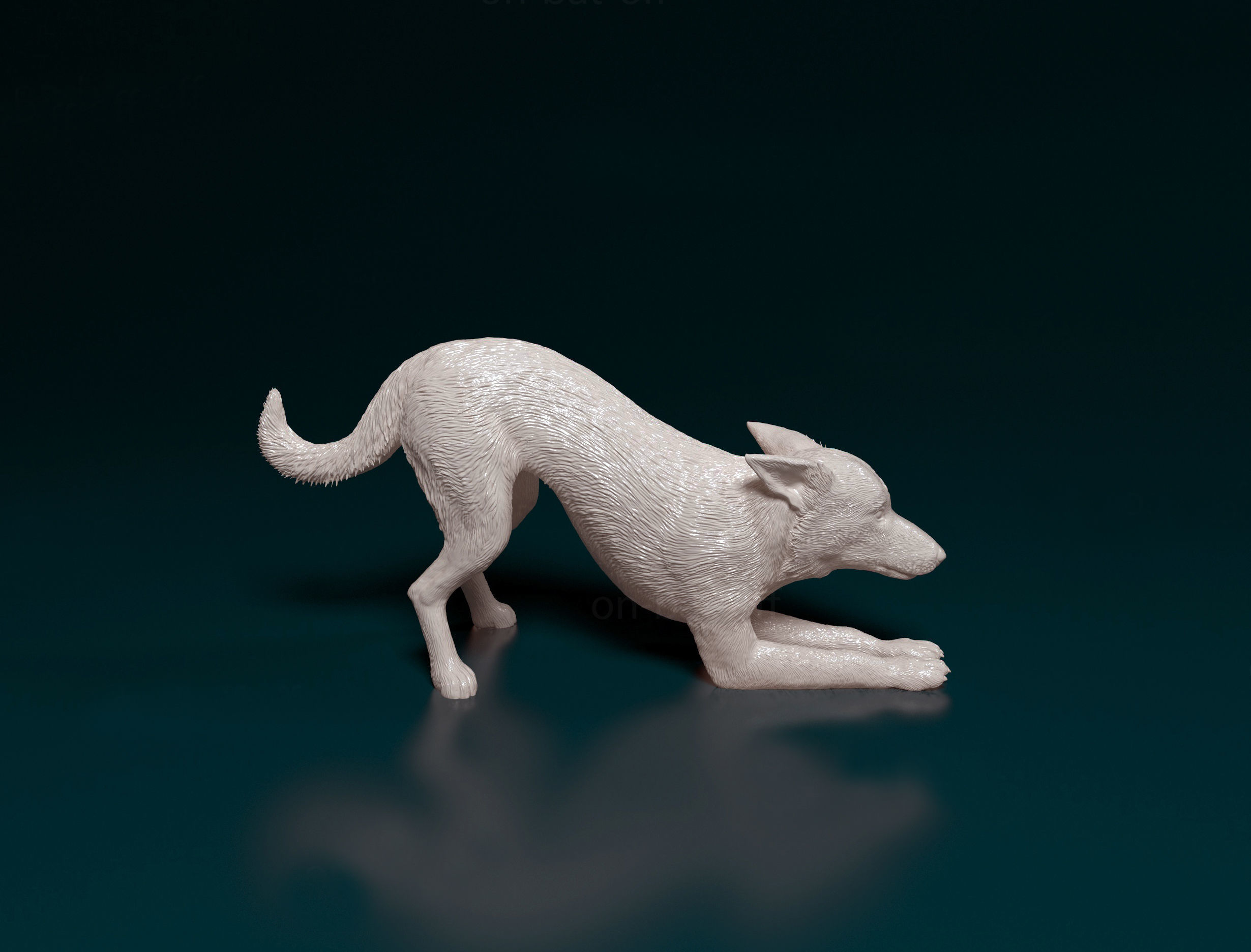Kelpie dog 3D print model_1