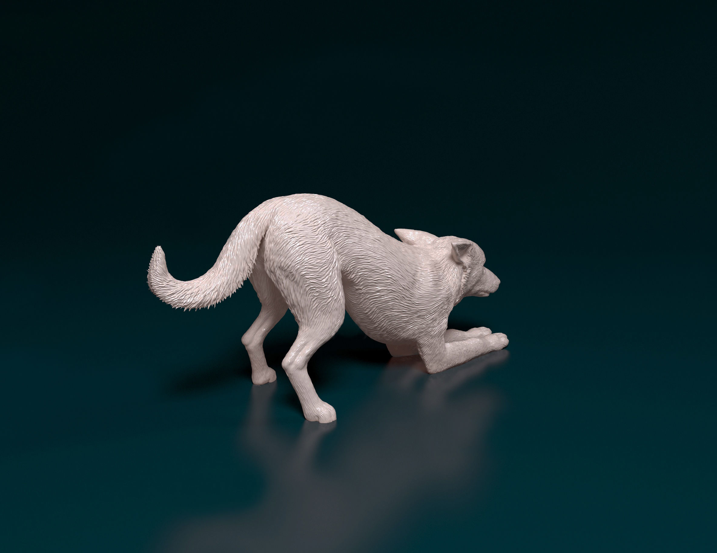 Kelpie dog 3D print model_2