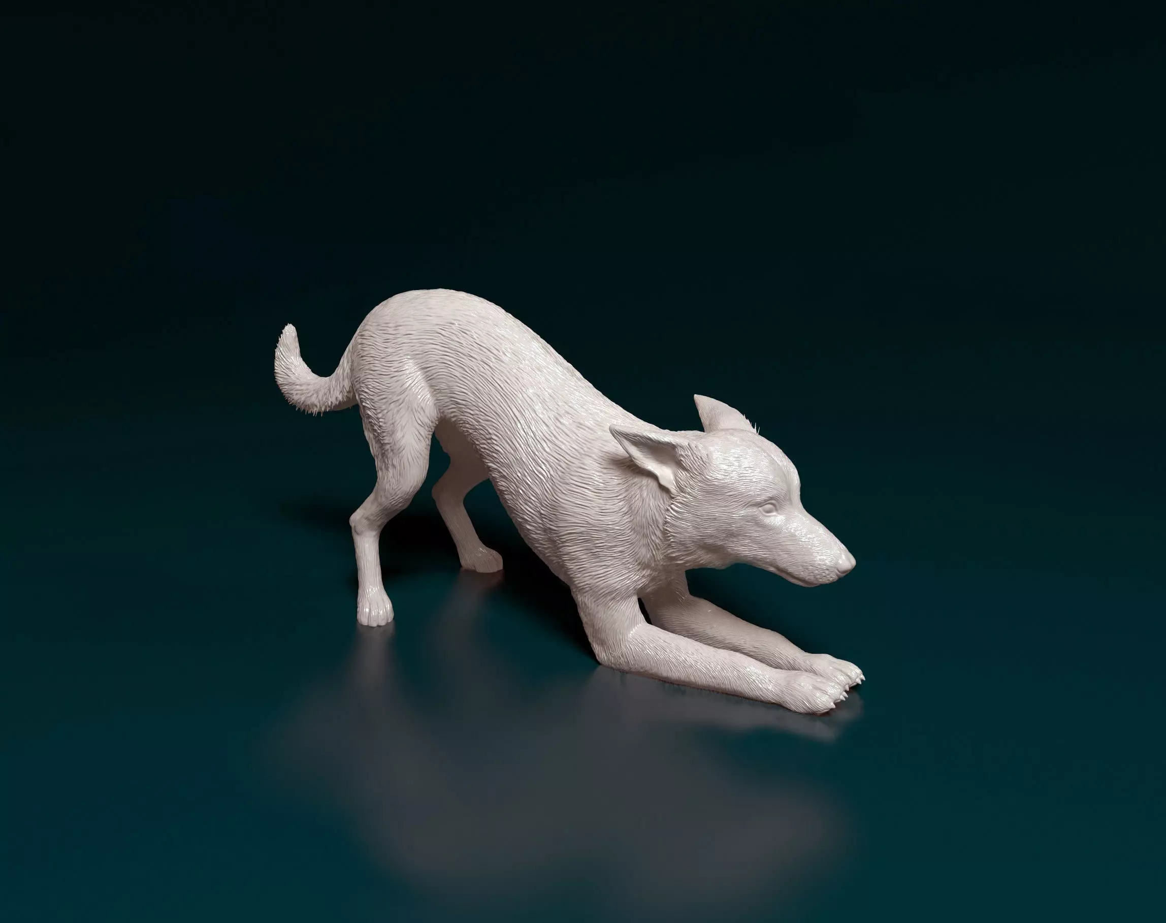 Kelpie dog 3D print model_0