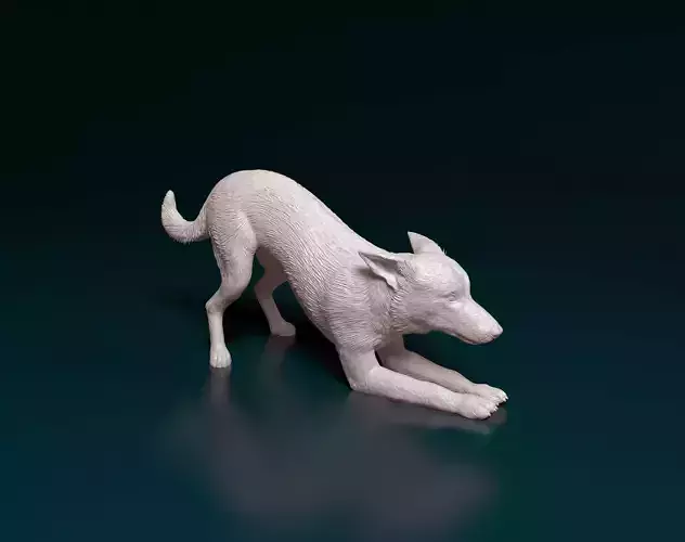 Kelpie dog 3D print model