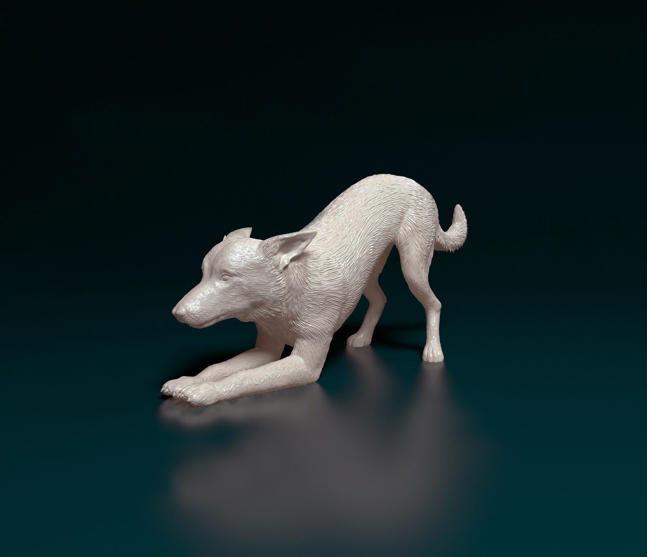 Kelpie dog 3D print model_5