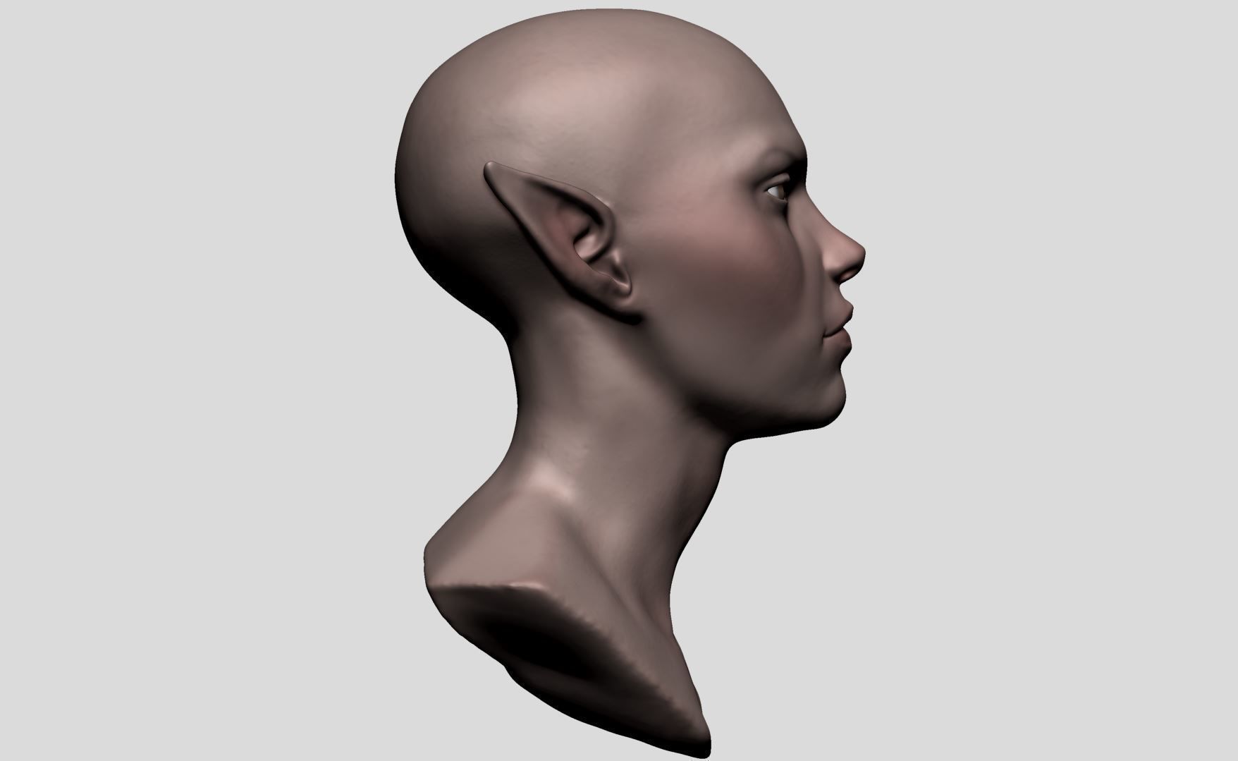 Elf Head v2 3D model_2